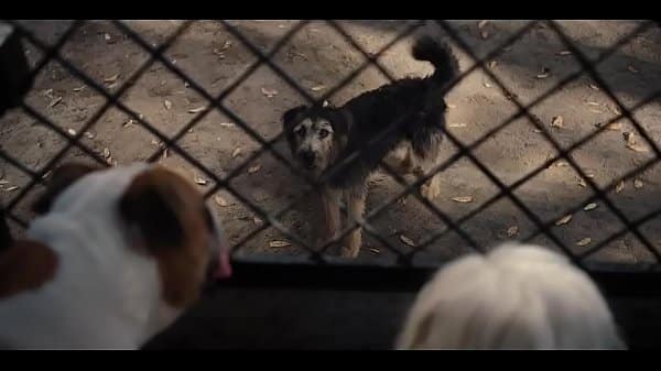 Filme o planeta dos macacos a origem completo dublado