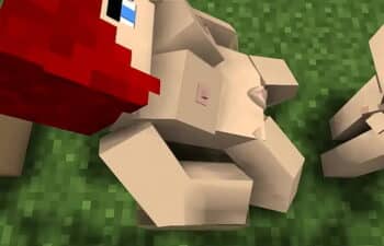 Minecraft 18