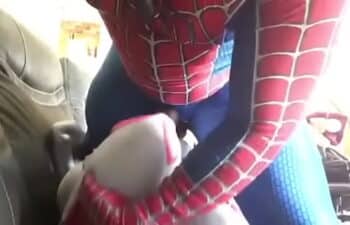 Aranha moaqueteira Aranha moaqueteira