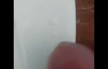 Drii cordeiro Drii cordeiro