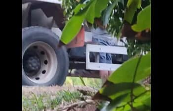 Aline fruit carreteiro Aline fruit carreteiro
