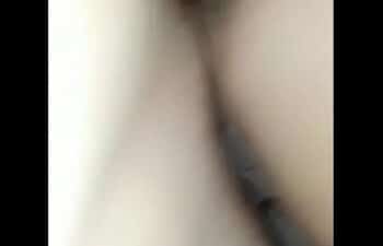 Armador Armador