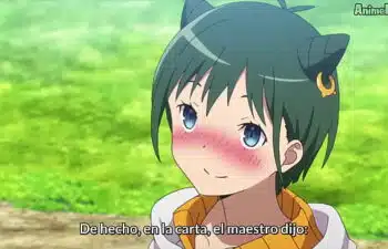 Conceição de macabu