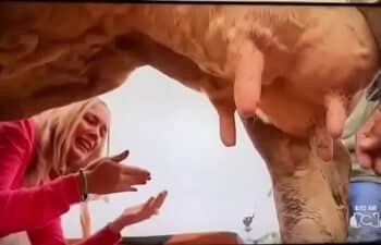 De menos De menos