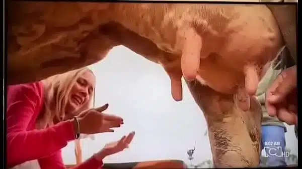 De menos