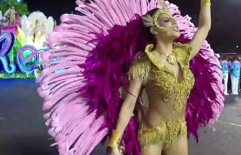 Erika januza Erika januza