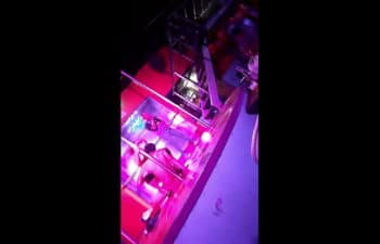 Katy noturno Katy noturno