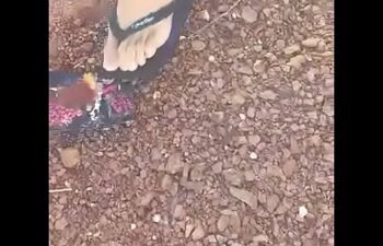 Laux rezende Laux rezende