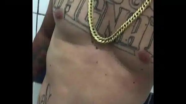 Tubarão sc
