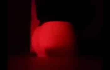 Bouncy ass Bouncy ass