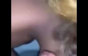 Bsbi Bsbi