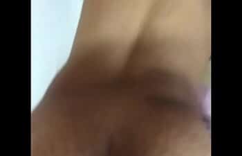 Dani povoas Dani povoas