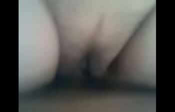 Magra sirrica Magra sirrica