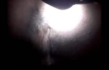 Mariana ladeira anal Mariana ladeira anal