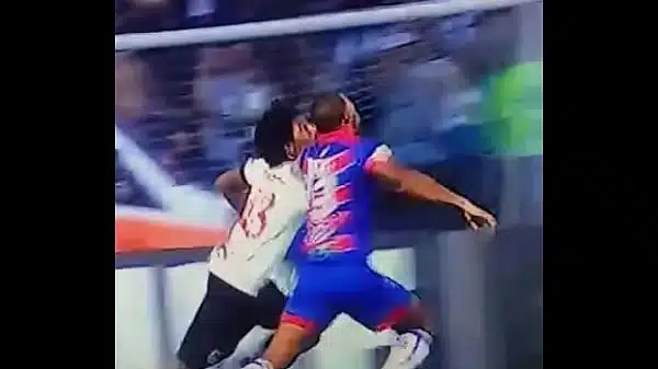 Musa vasco