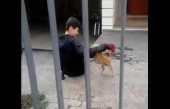 Novinhas de virjem Novinhas de virjem