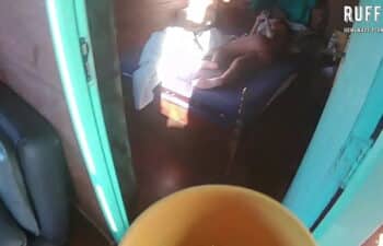 Novinhas no mato Novinhas no mato