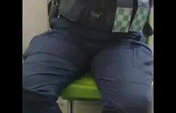 Paula pbi Paula pbi