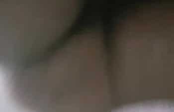 Travestis metendo Travestis metendo
