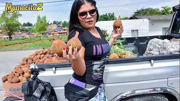 Vick arpero