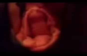 Wife pussy Wife pussy