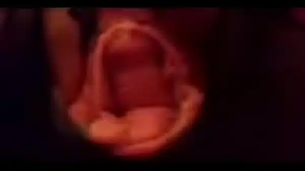 Wife pussy