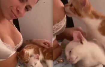 Zoofilia Mc Pipokinha transando com gato